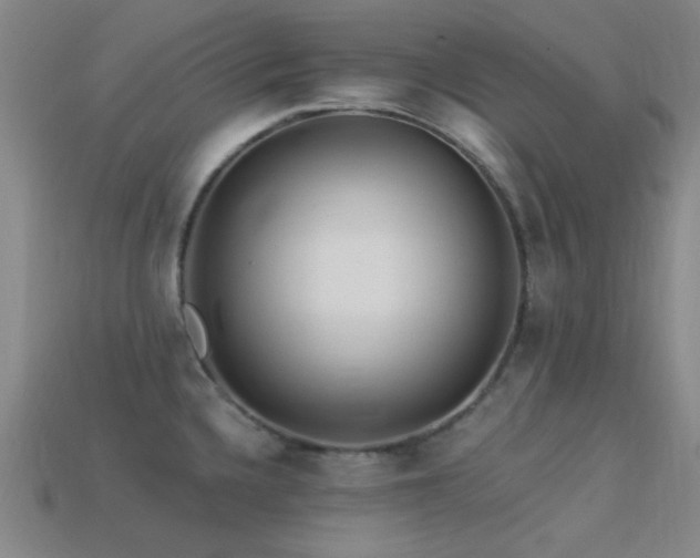 X0000113341336200909151123