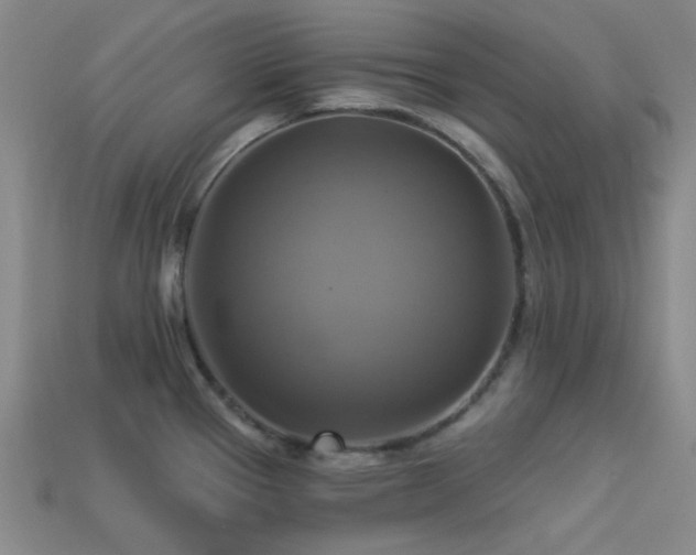 X0000113341337200909151123