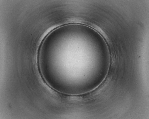 X0000113341339200909151123