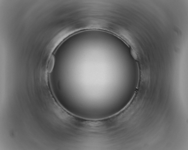 X0000113341340200909151123