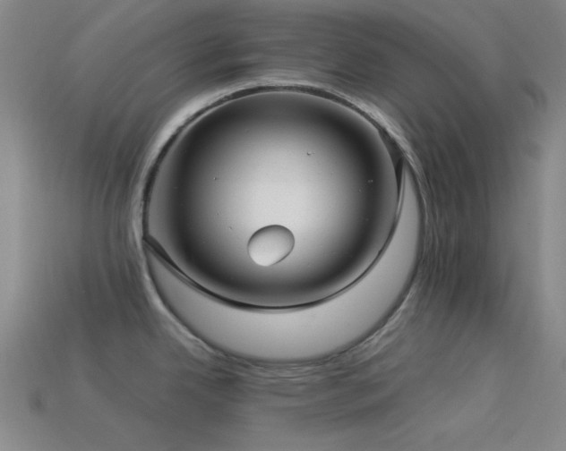 X0000113341342200909151123