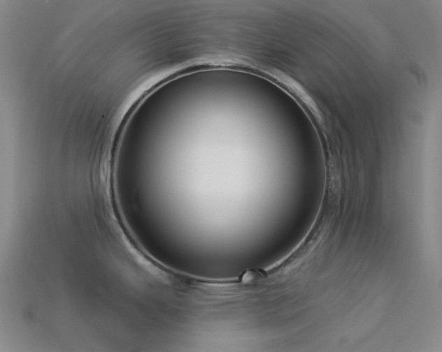 X0000113341343200909151123