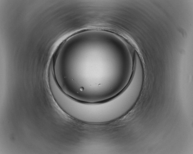 X0000113341344200909151123