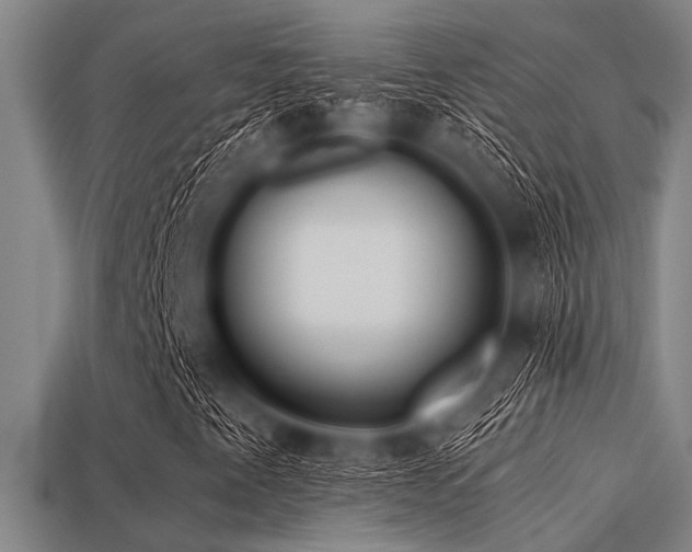 X0000113341345200909151123