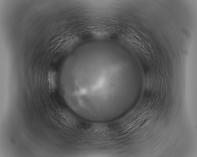 X0000113341346200909151123