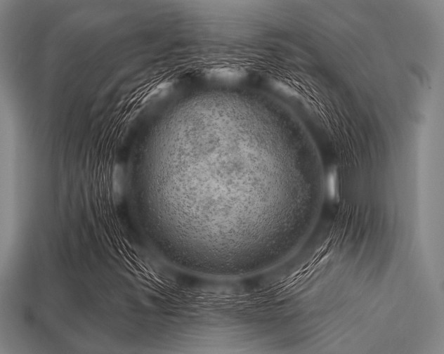 X0000113341347200909151123