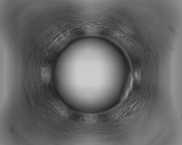 X0000113341348200909151123