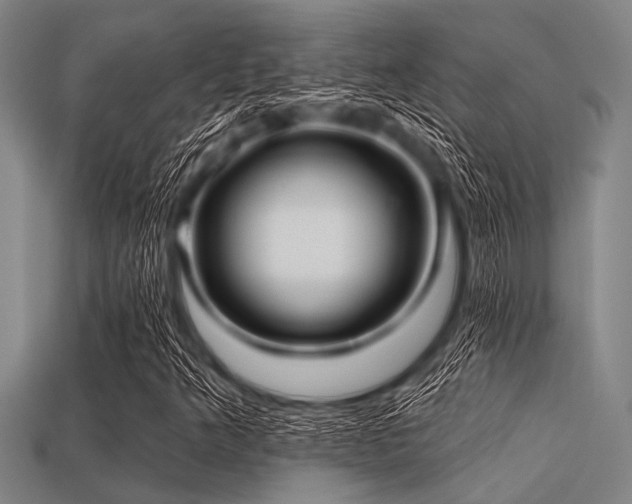 X0000113341349200909151123