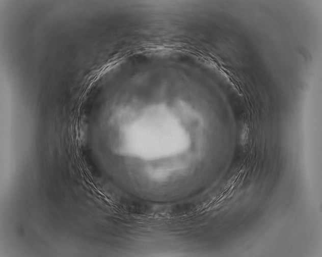 X0000113341350200909151123
