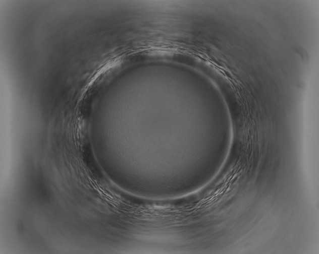 X0000113341351200909151123