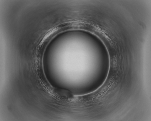 X0000113341352200909151123