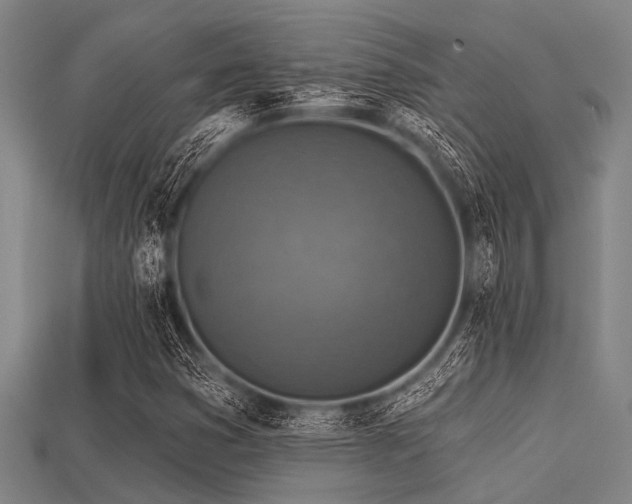 X0000113341353200909151123
