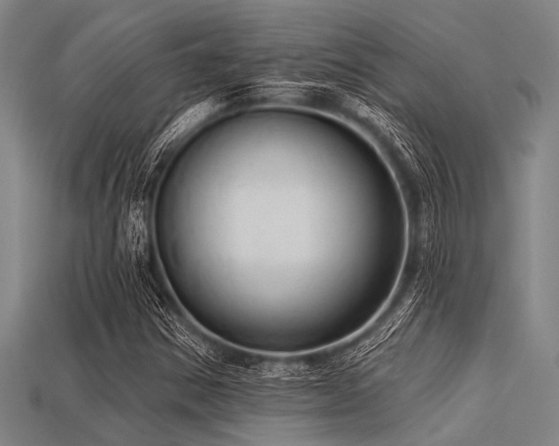 X0000113341354200909151123