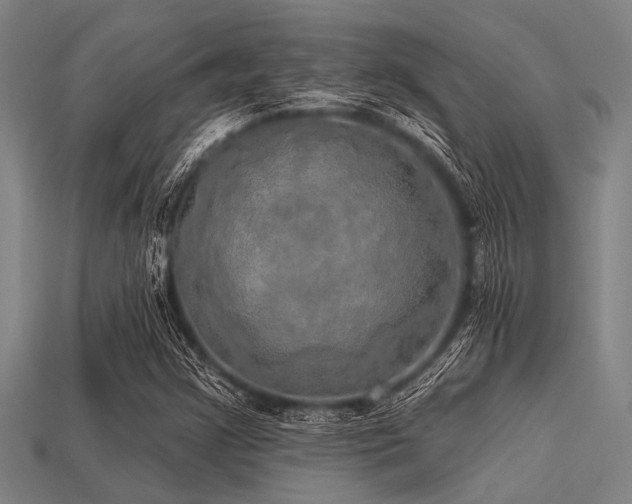 X0000113341355200909151123