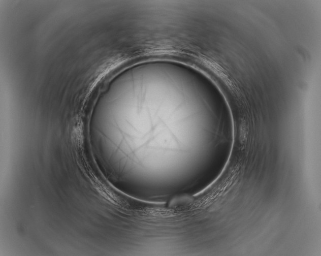 X0000113341356200909151123