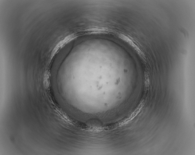 X0000113341357200909151123