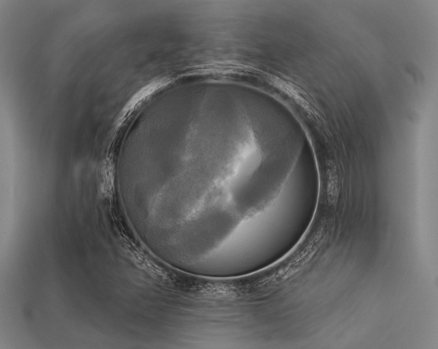 X0000113341358200909151123
