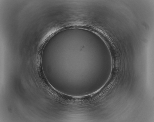 X0000113341359200909151123