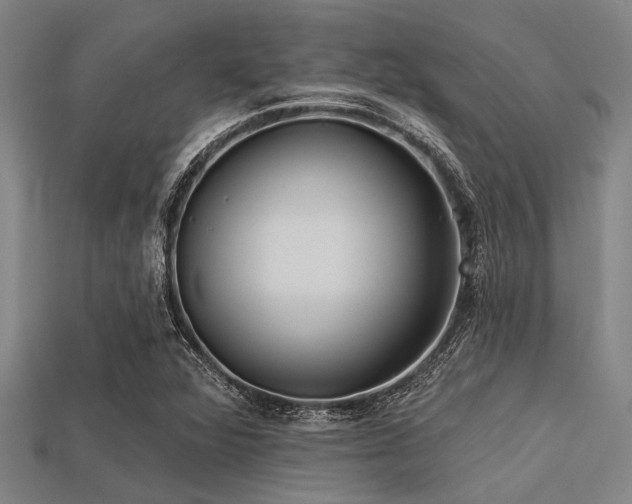 X0000113341360200909151123