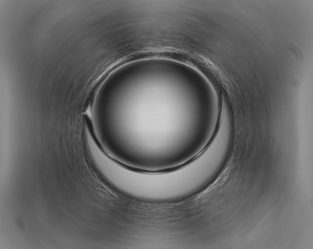 X0000113341361200909151123