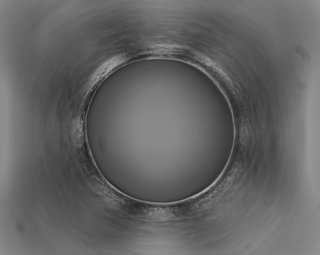 X0000113341362200909151123