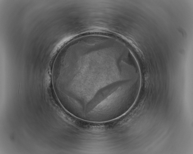X0000113341363200909151123