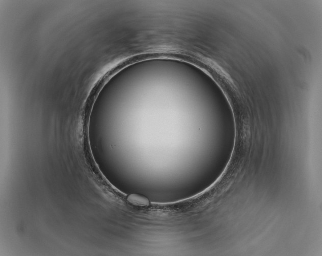 X0000113341364200909151123