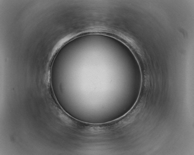 X0000113341366200909151123
