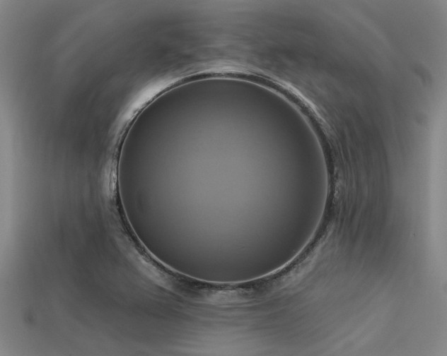 X0000113341367200909151122