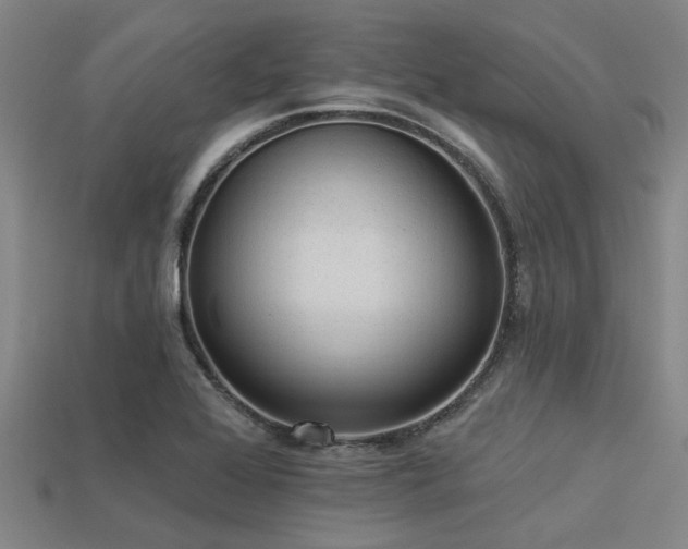 X0000113341368200909151122