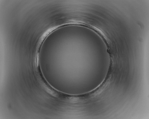 X0000113341371200909151122