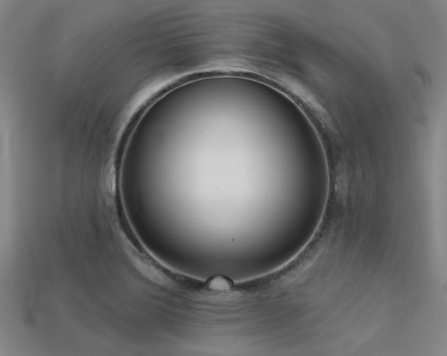 X0000113341372200909151122