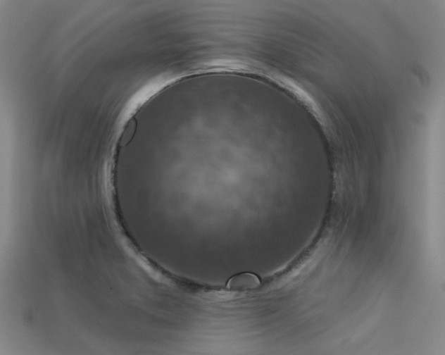 X0000113341373200909151122