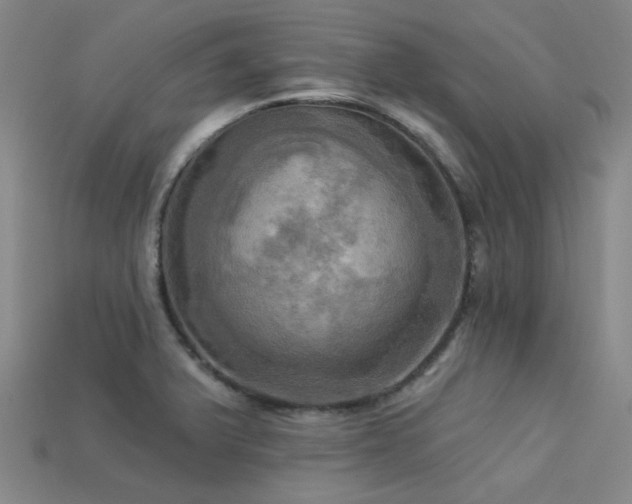 X0000113341375200909151122