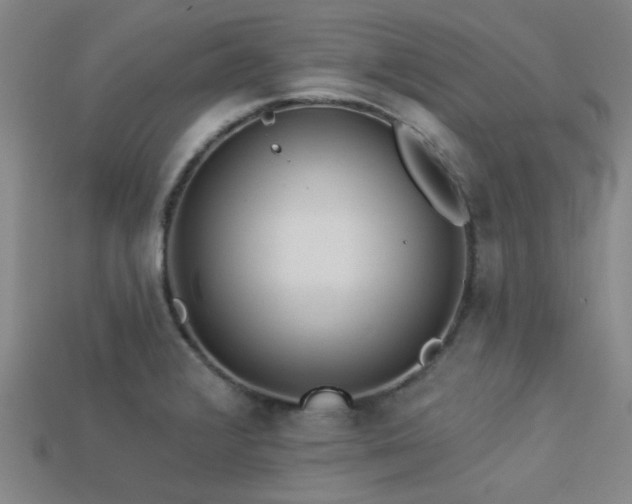 X0000113341376200909151122