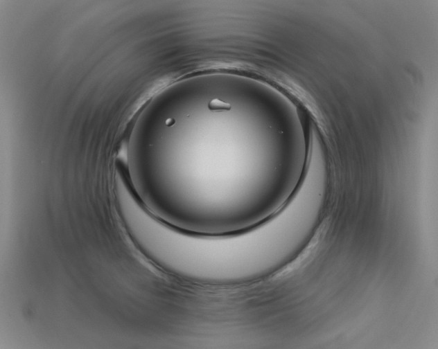 X0000113341377200909151122