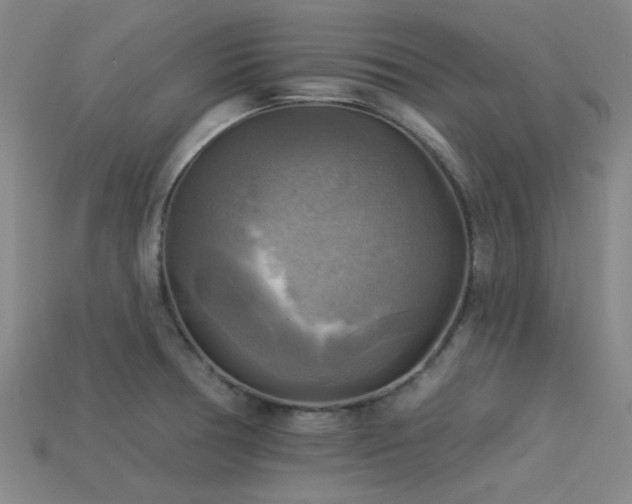 X0000113341378200909151122