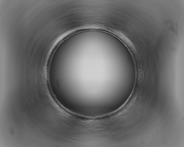 X0000113341380200909151122