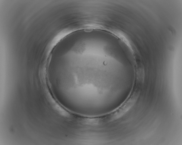 X0000113341381200909151122