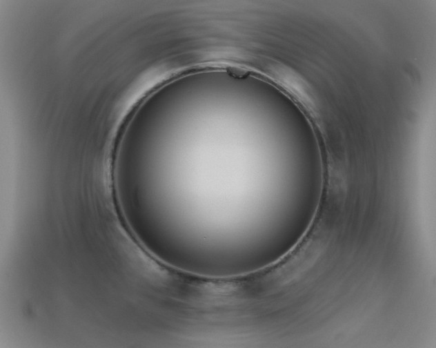 X0000113341384200909151122