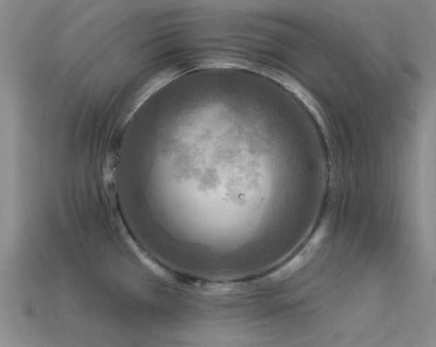 X0000113341385200909151122