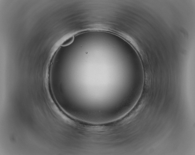 X0000113341387200909151122