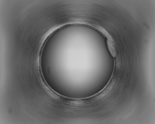 X0000113341388200909151122