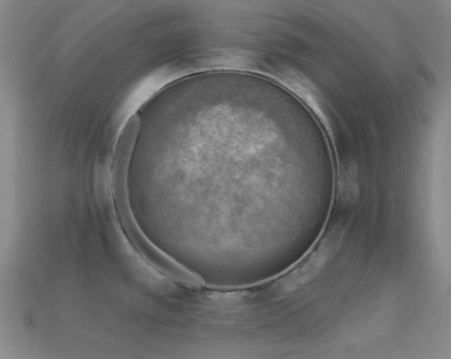 X0000113341389200909151122