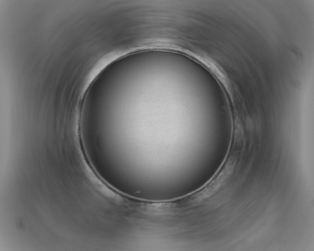 X0000113341390200909151122