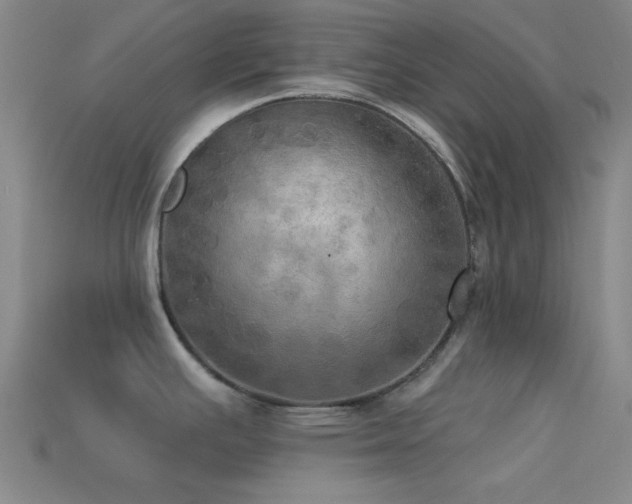 X0000113341391200909151122