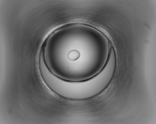 X0000113341392200909151122
