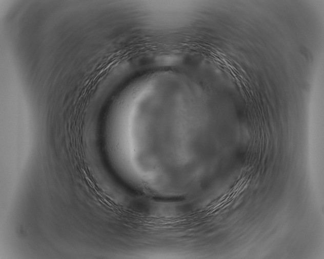 X0000113341393200909151122