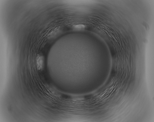 X0000113341394200909151122