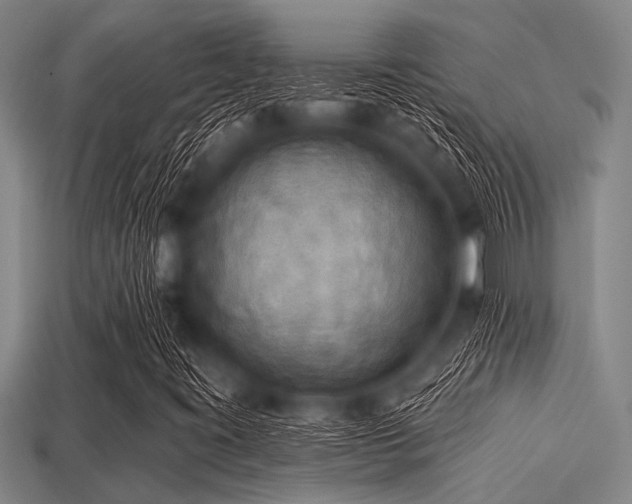 X0000113341395200909151122